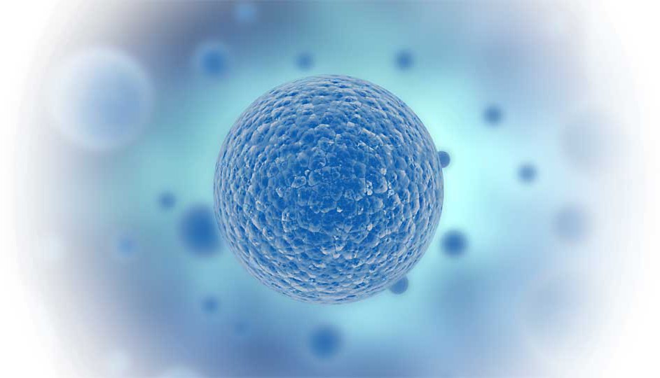 Ilustración simulada de una neoplasia.