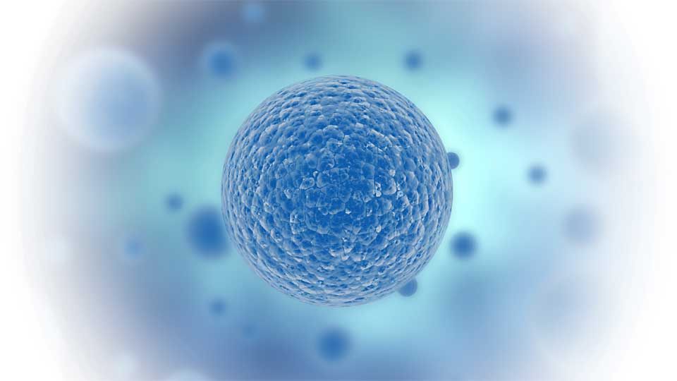 Ilustración simulada de una neoplasia.