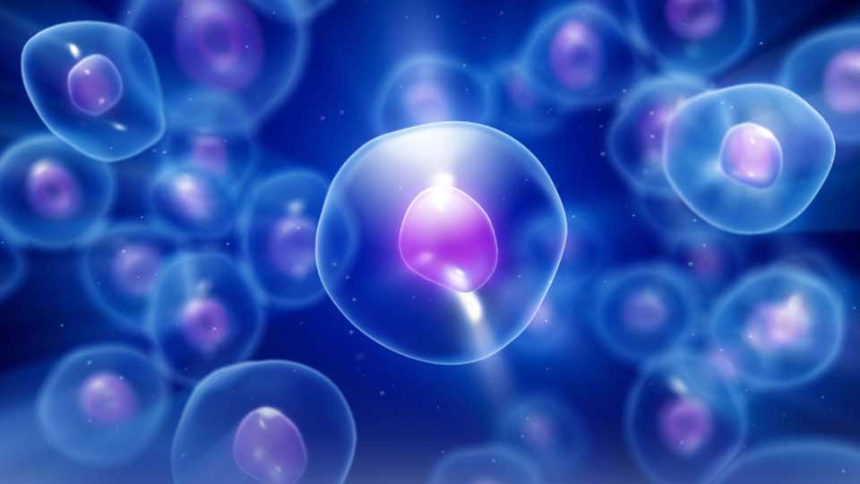 Reconstrucción esquemática de células carcinogénicas.