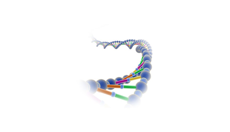 Alteraciones en la cadena de ADN como causantes genéticas de la propensión al cáncer.