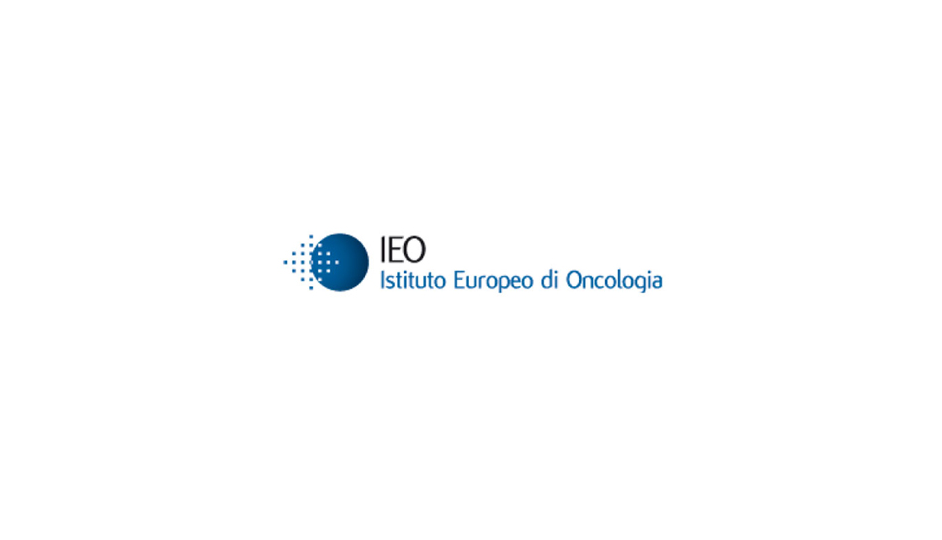 IEO: recursos geométricos simples, pero que significan con eficiencia.