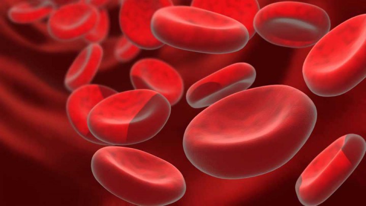 Representación ampliada de glóbulos rojos.