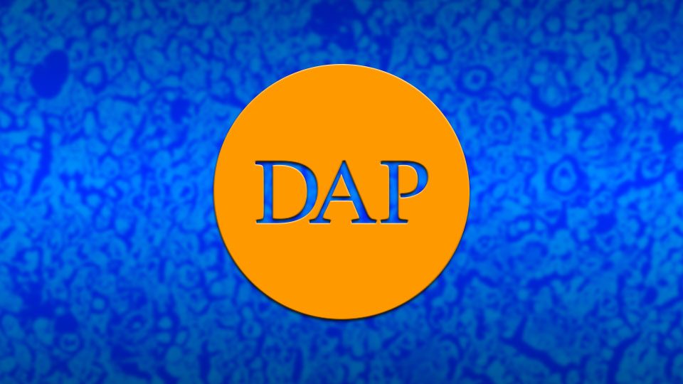 DAP: el logotipo.